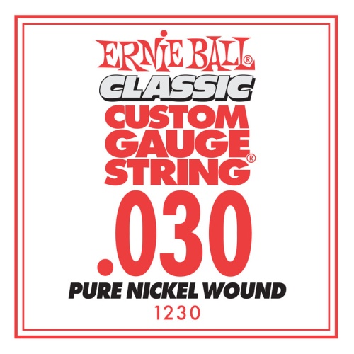 ERNIE BALL P01230