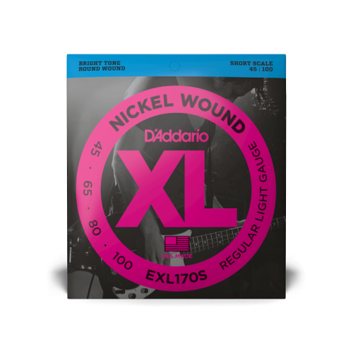 D`ADDARIO EXL170S