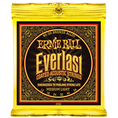 ERNIE BALL P02556