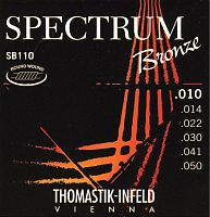 Thomastik SB110 Spectrum Bronze